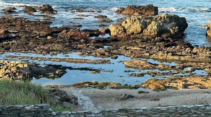 Waters Edge Beach House