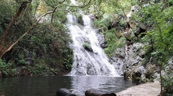 Trichardspoort Game Farms