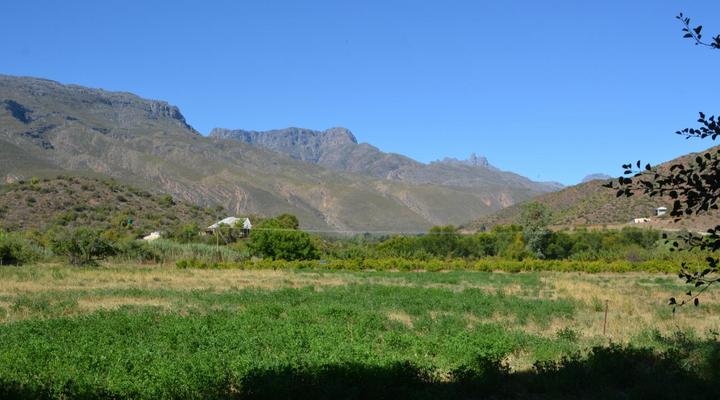 The Country Garden / Beecatcher Guest Farm