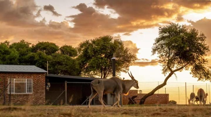 Anna Africa Guest House