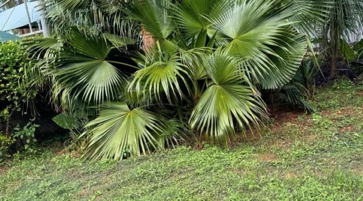 Victoria Guesthouse Nyumbani