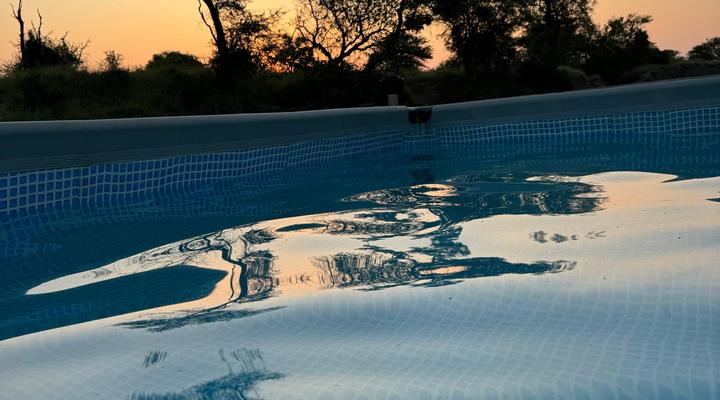 Kruger Untamed - Tshokwane River Camp