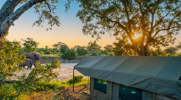 Kruger Untamed - Tshokwane River Camp
