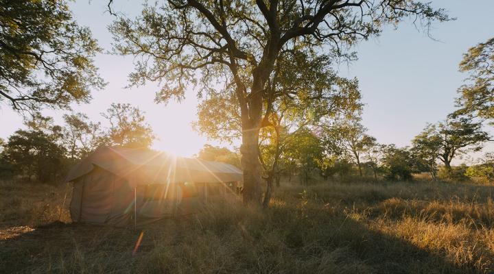 Kruger Untamed - Satara Plains Camp