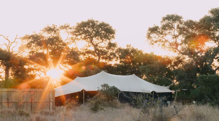 Kruger Untamed - Satara Plains Camp