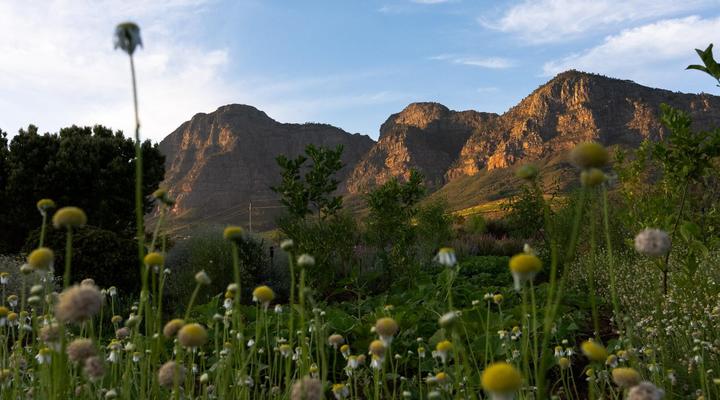 Angala Boutique Hotel