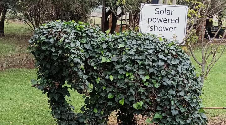 Airport Bird & Game Lodge