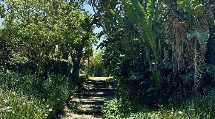 COCOtree Beach House