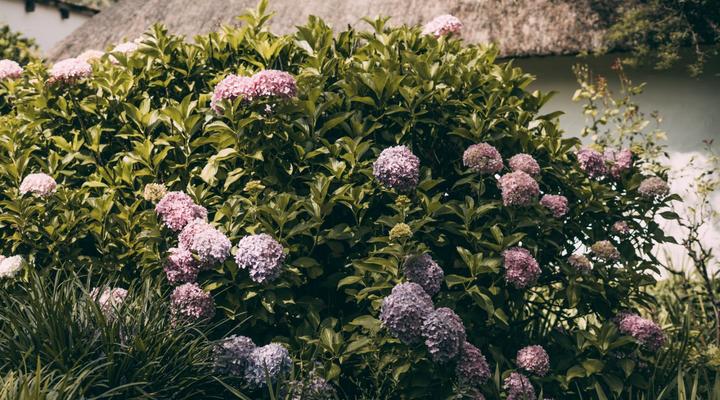 Wyndford Holiday Farm