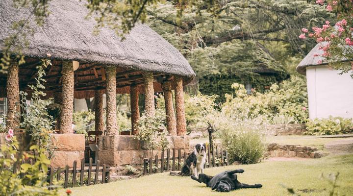 Wyndford Holiday Farm