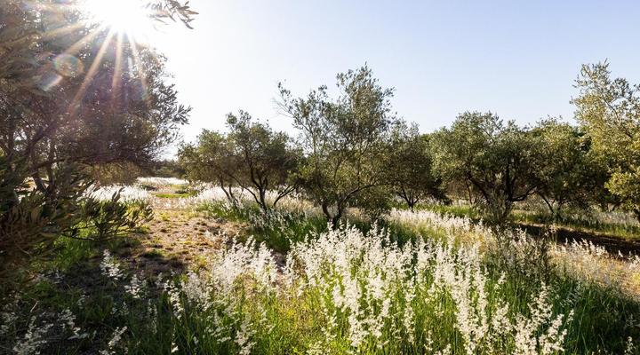 Belcharto Accommodation