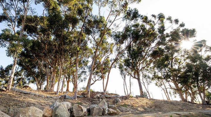 Belcharto Accommodation