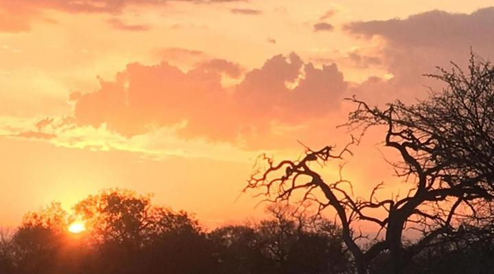 Panache Wildlife Cottage