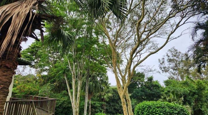 Retreat on Raspberry Lane