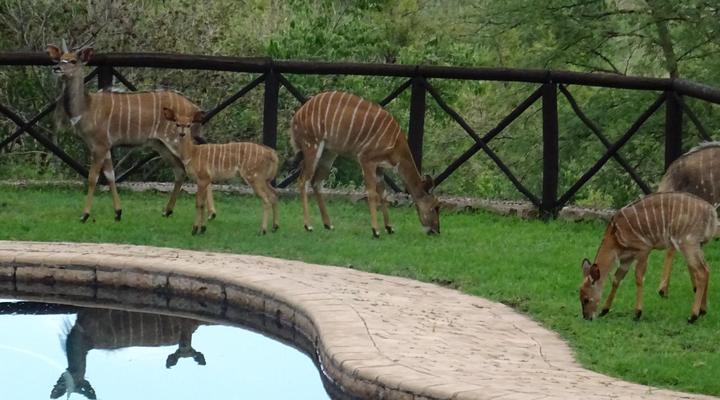 Schrikkloof Private Nature Reserve