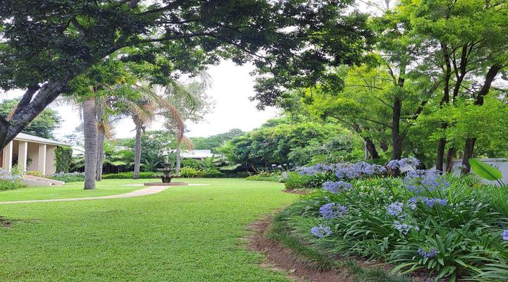 Peppertree House B&B