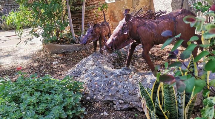 Guesthouse Terra Africa