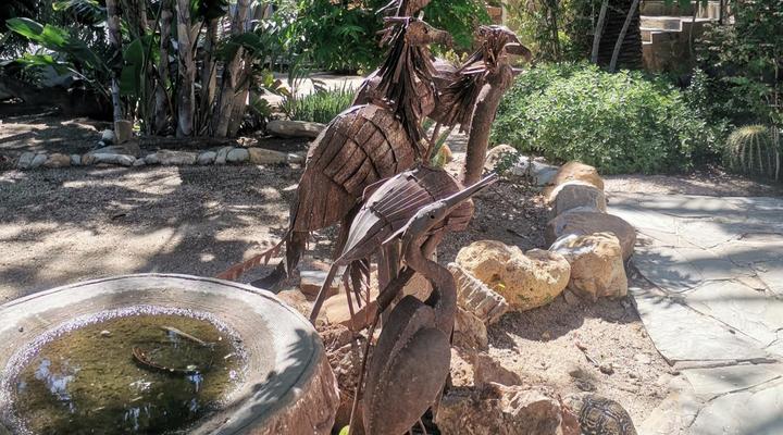 Guesthouse Terra Africa