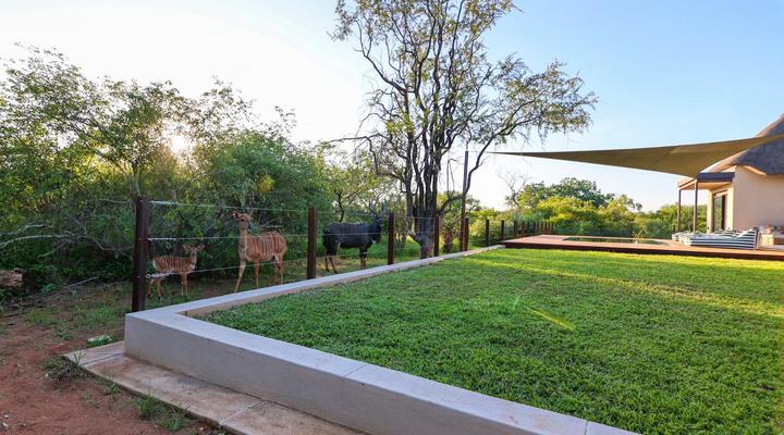 Bush House Zandspruit