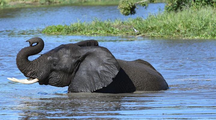 Inyati Game Lodge, Sabi Sand Nature Reserve