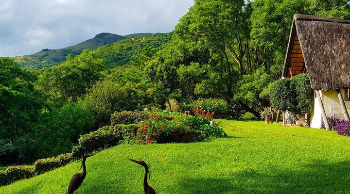 Wide Horizons Mountain Retreat