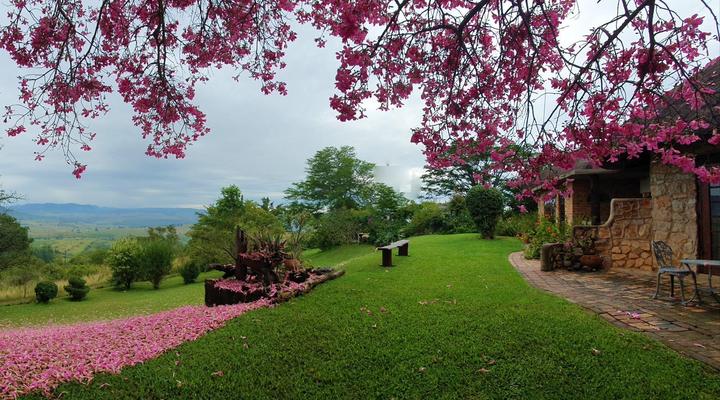 Wide Horizons Mountain Retreat