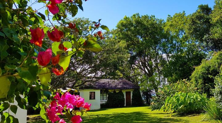 Wide Horizons Mountain Retreat