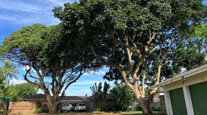 St Lucia Holiday Cottage