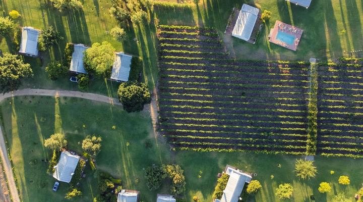 Saronsberg Vineyard Cottages