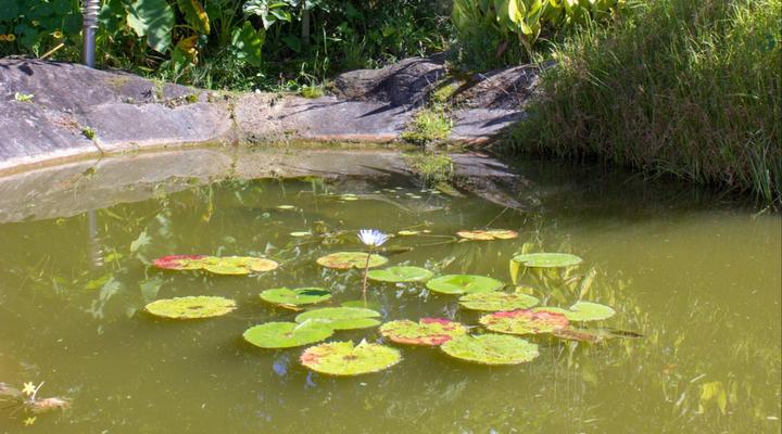 Tsitsikamma Mountain View Lodge