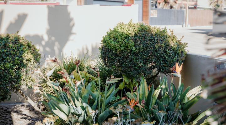 Coastal Charm Hideaway