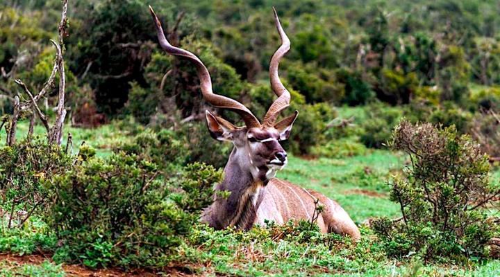 90 on Wellington Cottage