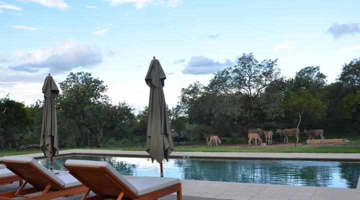 Simunye Private Game Reserve