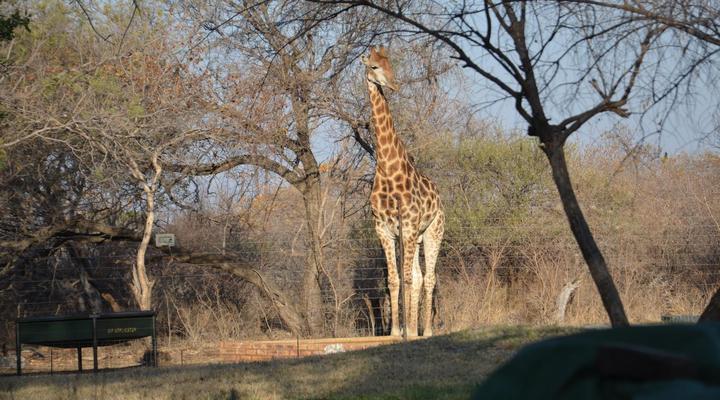Simunye Private Game Reserve