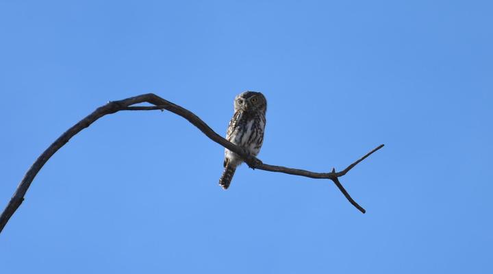 Simunye Private Game Reserve