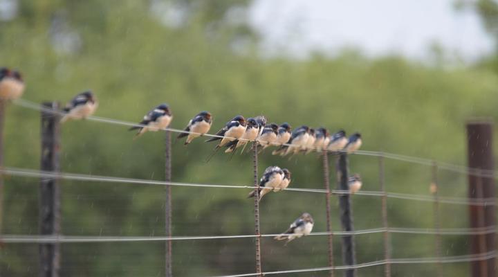 Simunye Private Game Reserve