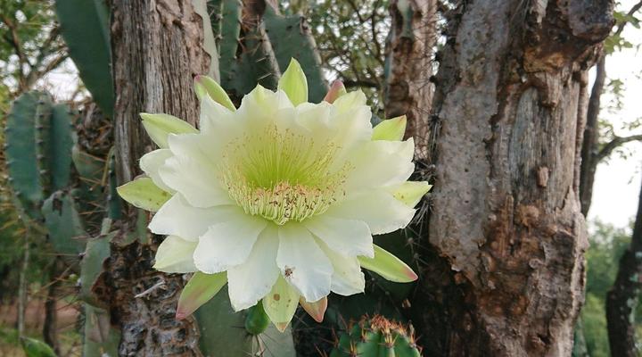 Simunye Private Game Reserve