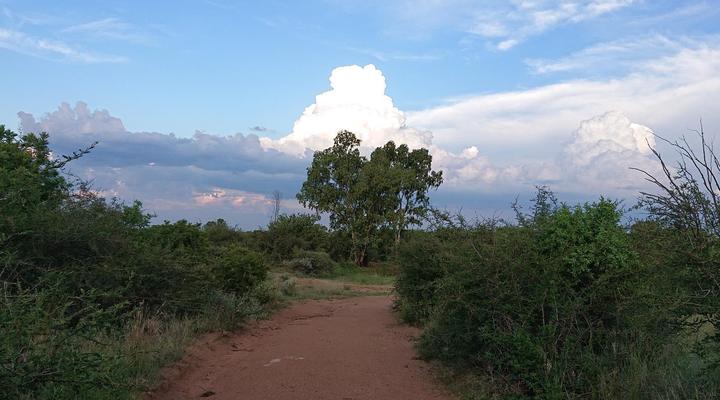 Simunye Private Game Reserve