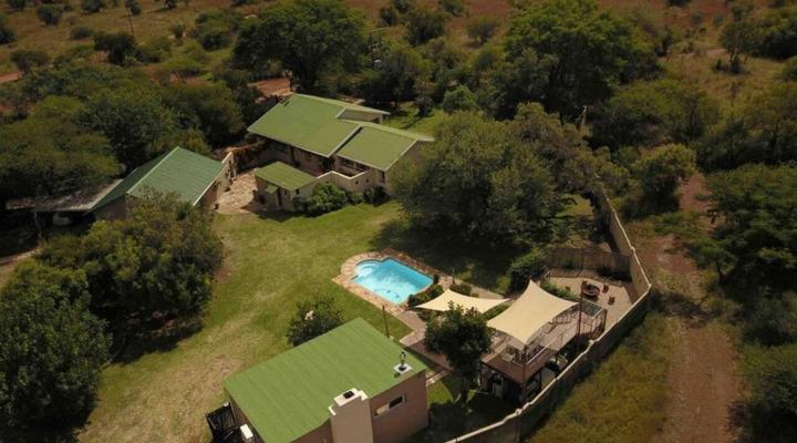 46 Fisant in Dinokeng