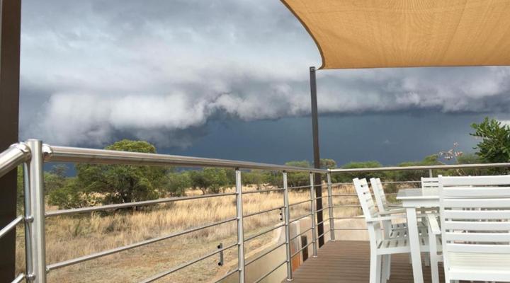 46 Fisant in Dinokeng