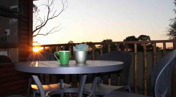 46 Fisant in Dinokeng