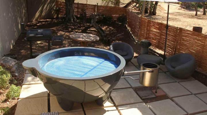 46 Fisant in Dinokeng