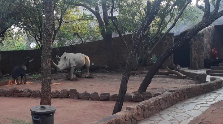 Thaba Nkwe Bushveld Inn