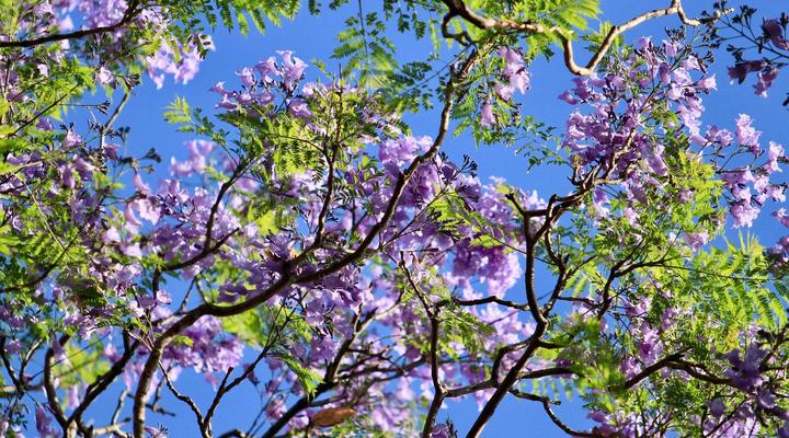 Melrose Place Boutique Hotel