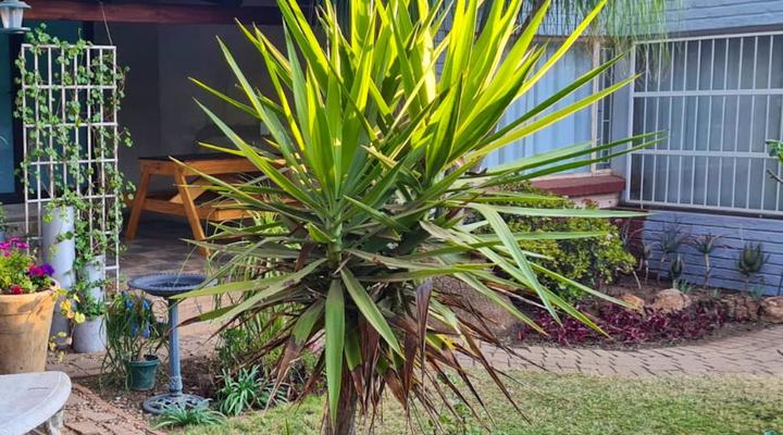 Serendipity Polokwane