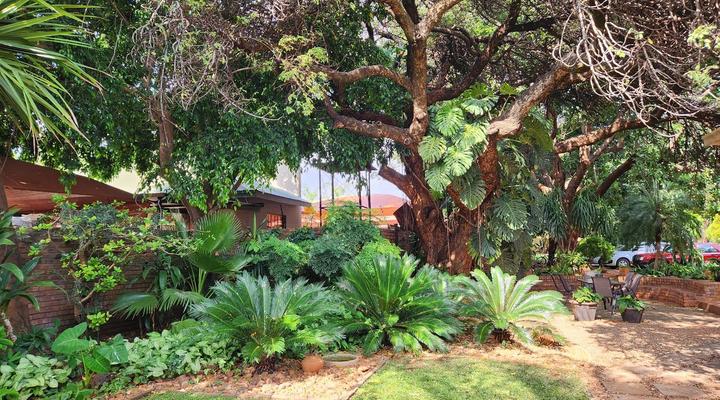 Tree Aloe Guesthouse