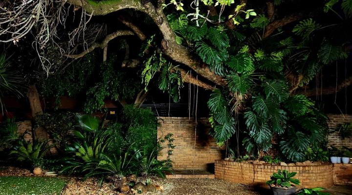 Tree Aloe Guesthouse