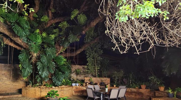 Tree Aloe Guesthouse