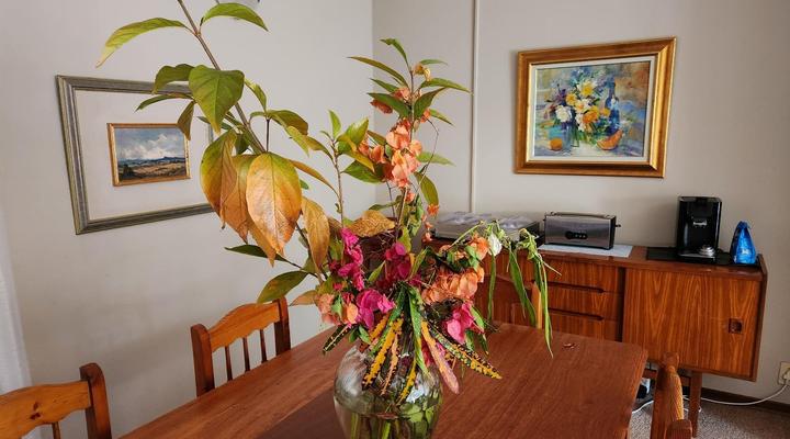 Tree Aloe Guesthouse