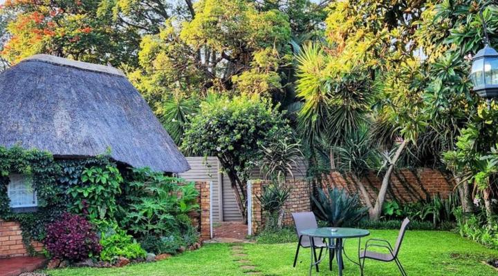 Tree Aloe Guesthouse